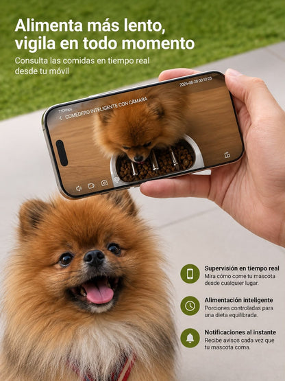 Comedero 5G con Cámara WiFi y Control Remoto